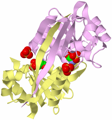 Image Biological Unit 3