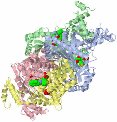 Image Asym./Biol. Unit