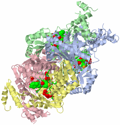 Image Asym./Biol. Unit - sites