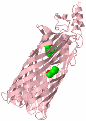 Image Biological Unit 3