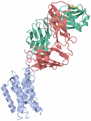 Image Asym./Biol. Unit