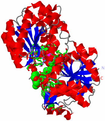 Image Asym./Biol. Unit - sites