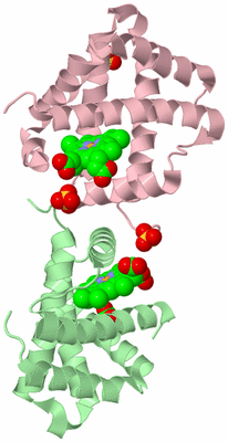 Image Biological Unit 2