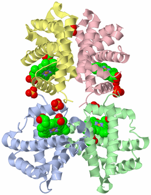 Image Biological Unit 3