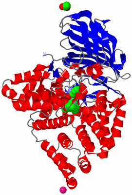 Image Asym./Biol. Unit