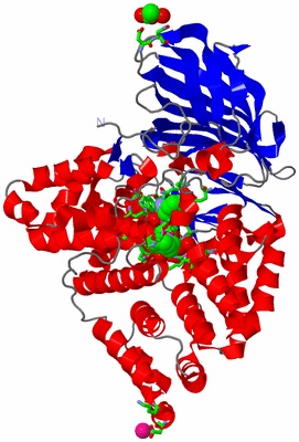 Image Asym./Biol. Unit - sites