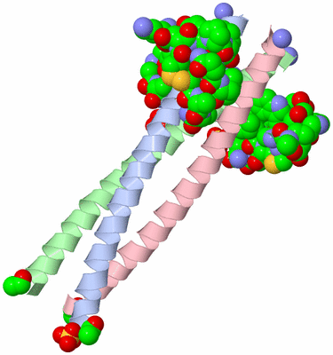 Image Asymmetric Unit