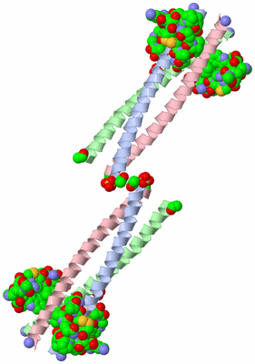 Image Biological Unit 3