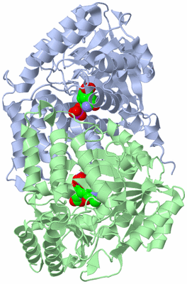 Image Asym./Biol. Unit