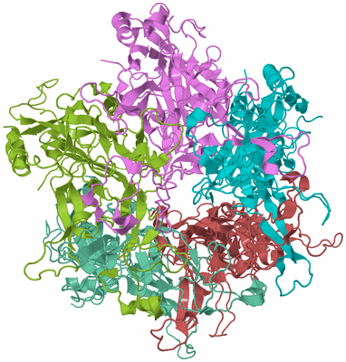 Image Biological Unit 3