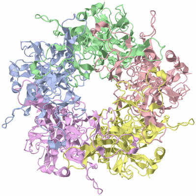 Image Biological Unit 1