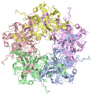 Image Asym./Biol. Unit