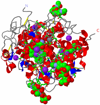 Image Asym./Biol. Unit - sites