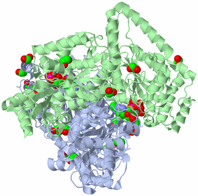 Image Asym./Biol. Unit