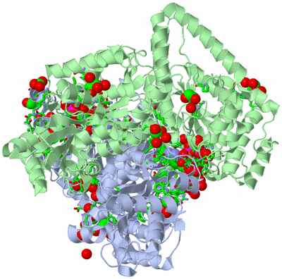 Image Asym./Biol. Unit - sites