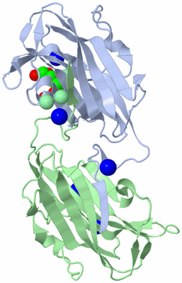 Image Biological Unit 1