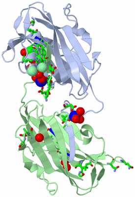 Image Biol. Unit 1 - sites