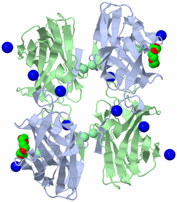 Image Biological Unit 2