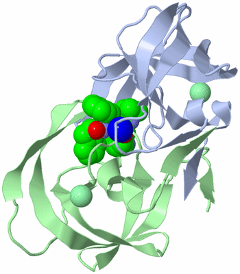 Image Biological Unit 1