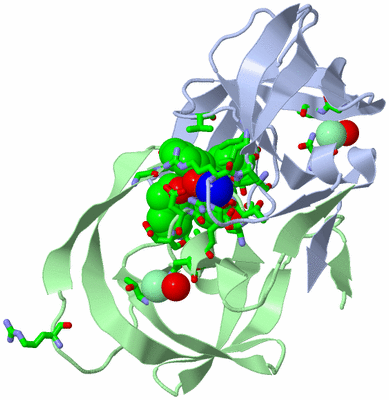 Image Biol. Unit 1 - sites