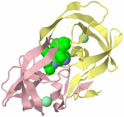 Image Biological Unit 2
