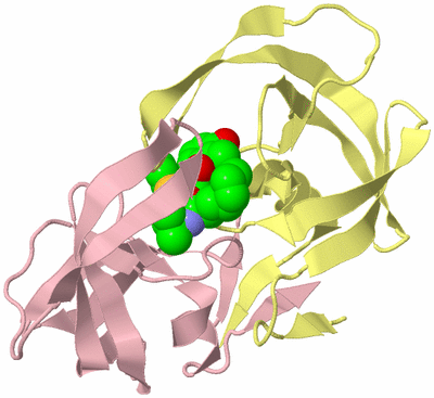 Image Biological Unit 2