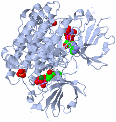 Image Biological Unit 2