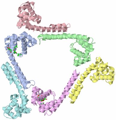 Image Asym./Biol. Unit - sites