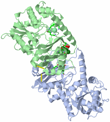 Image Asym./Biol. Unit - sites