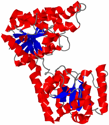 Image Asym./Biol. Unit