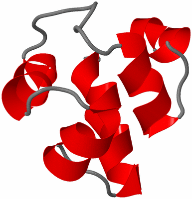 Image NMR Structure - model 1