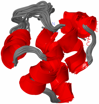 Image NMR Structure - all models