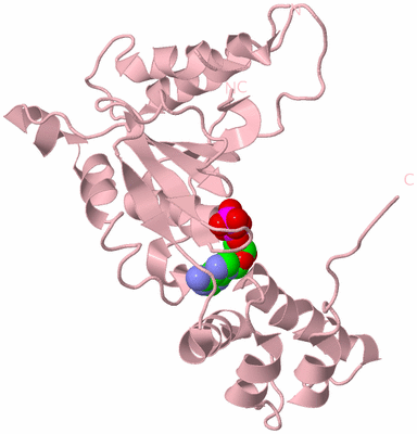 Image Biological Unit 3