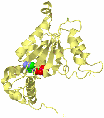 Image Biological Unit 4