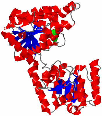 Image Asym./Biol. Unit