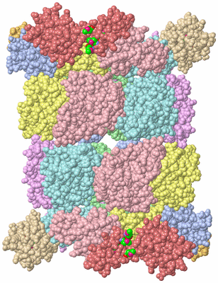 Image Biological Unit 1