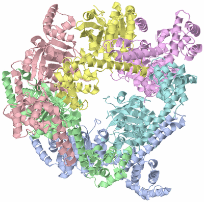 Image Asym./Biol. Unit