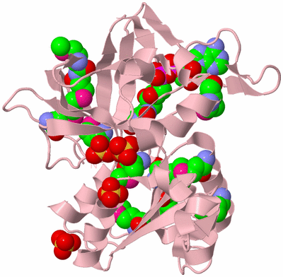 Image Biological Unit 3