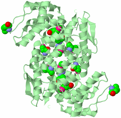 Image Biological Unit 2