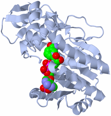 Image Biological Unit 1