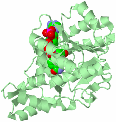 Image Biological Unit 2