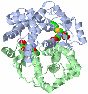 Image Asym./Biol. Unit