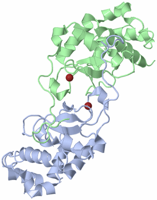 Image Biological Unit 1