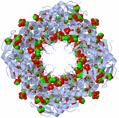 Image Biological Unit 1