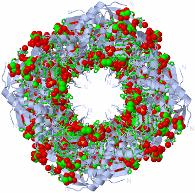 Image Biol. Unit 1 - sites