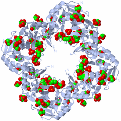 Image Biological Unit 2