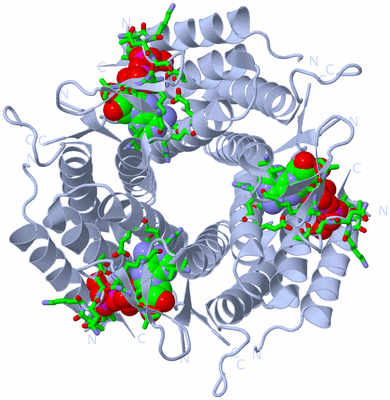 Image Biol. Unit 1 - sites