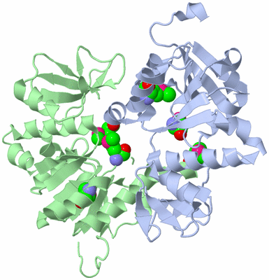 Image Asym./Biol. Unit