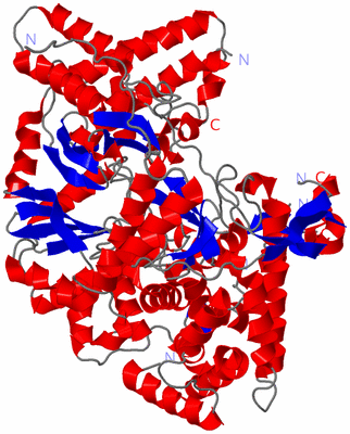 Image Asym./Biol. Unit