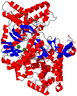 Image Asym./Biol. Unit